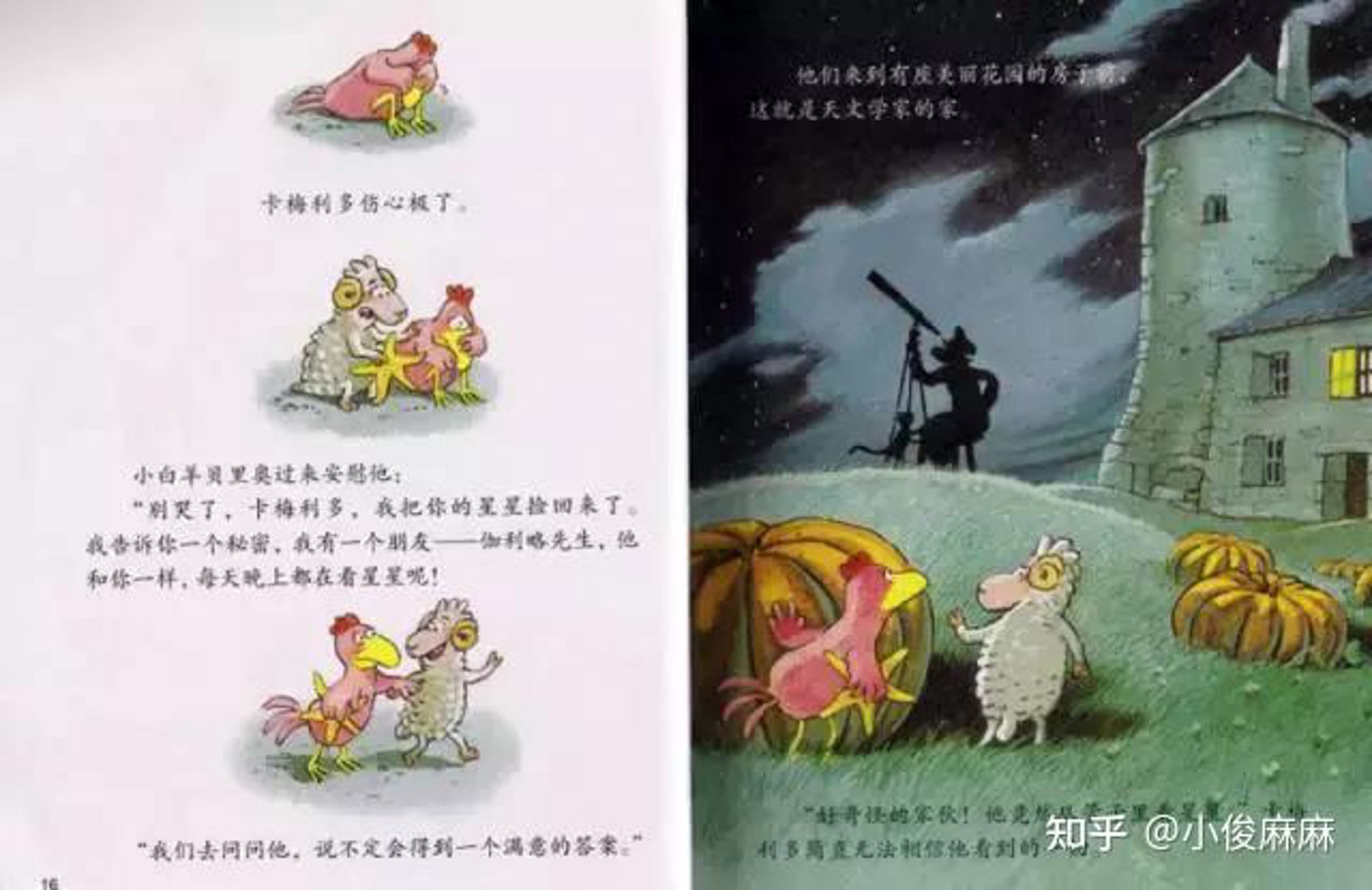 卡梅利多教育